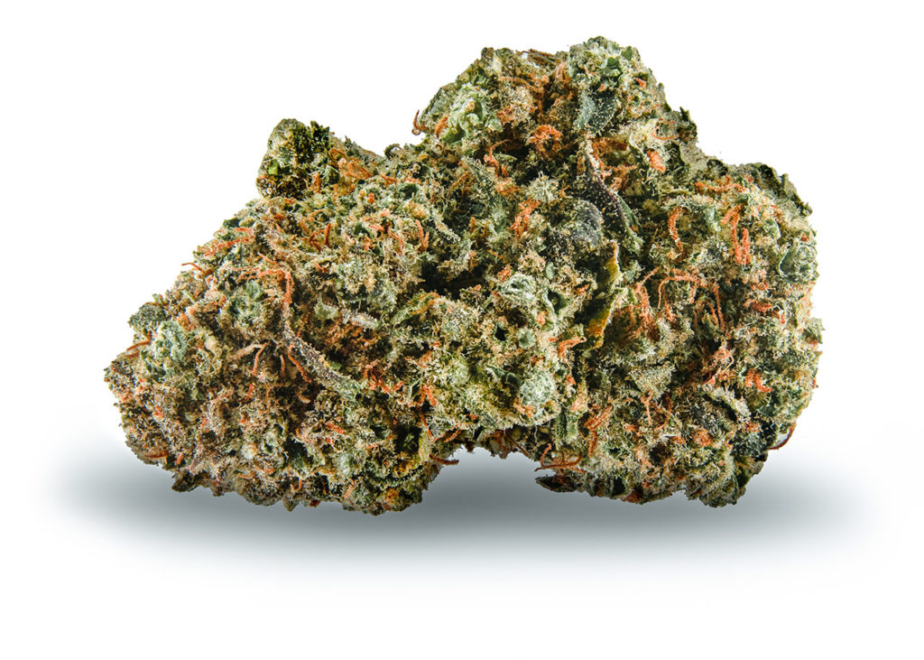 Sample of Blue Dream cannabis strain - dried flower