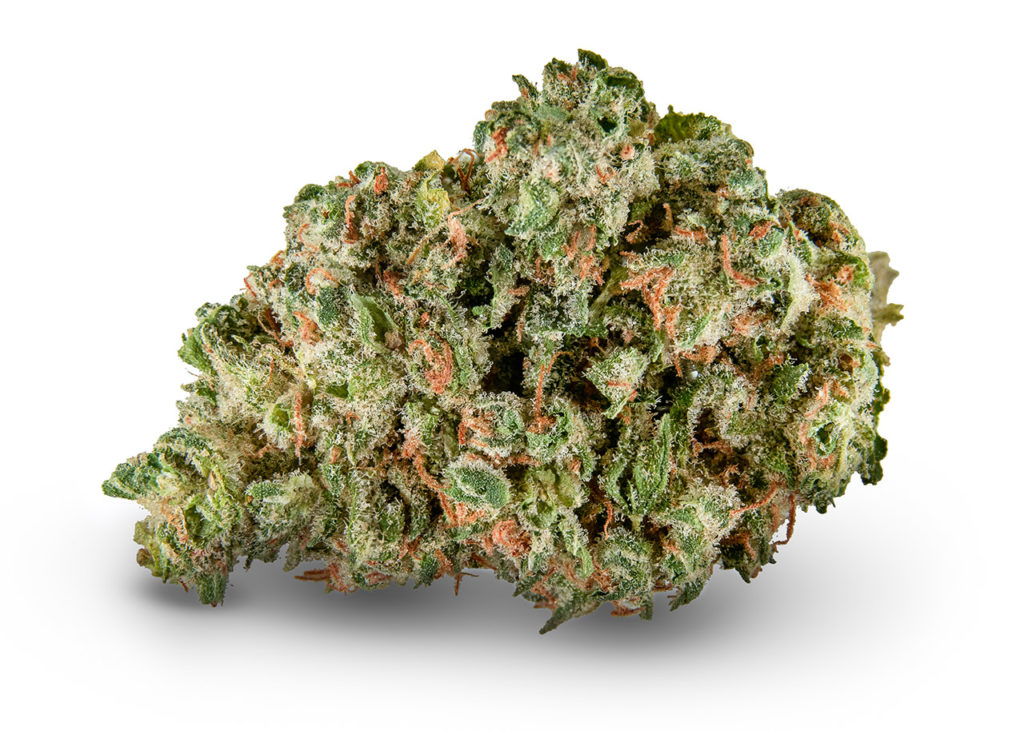 Sample of Jack Flash cannabis strain - dried flower