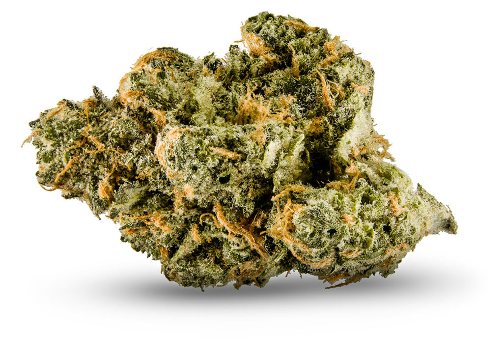 Sample of White 99 cannabis strain - dried flower