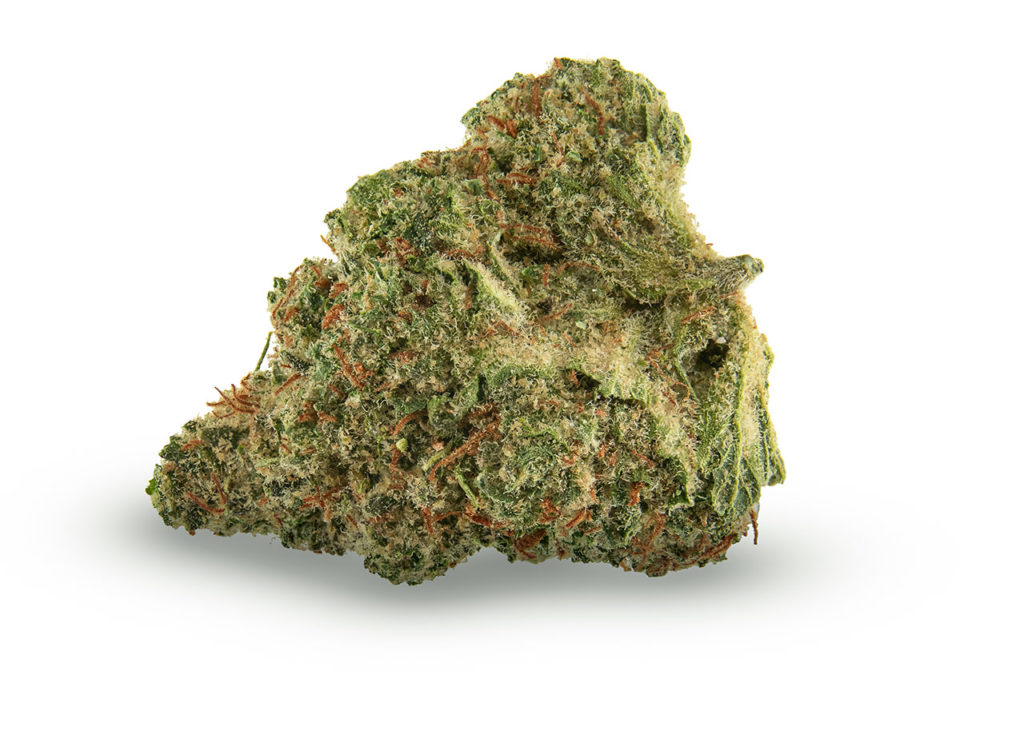 Sample of Wingsuit cannabis strain - dried flower